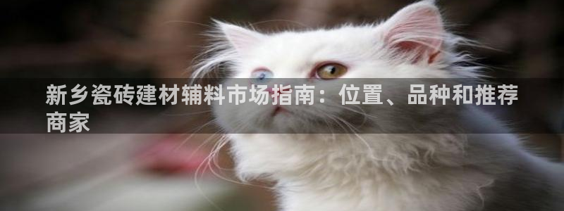 杏鑫平台招商