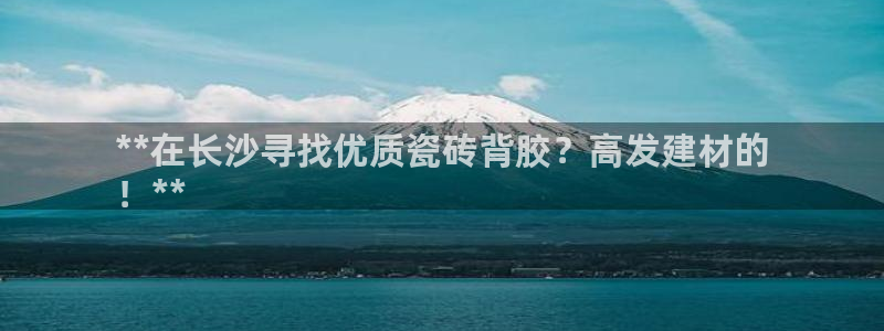 杏鑫官方平台怎么样