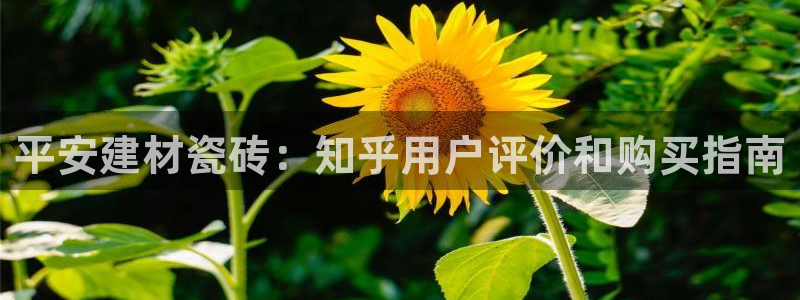 杏鑫平台列7O777