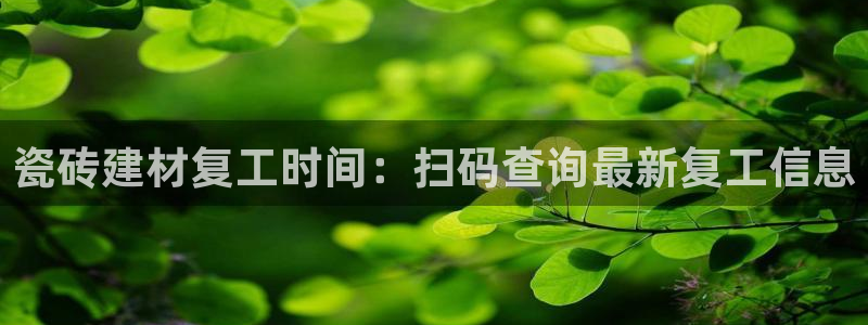 杏鑫主管