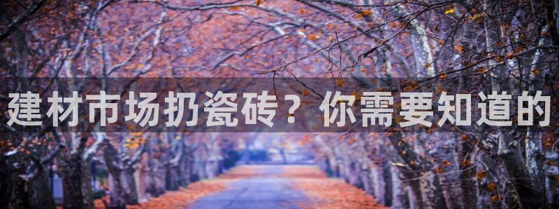 杏鑫平台在线注册怎么注册