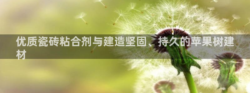 杏鑫平台广7O777