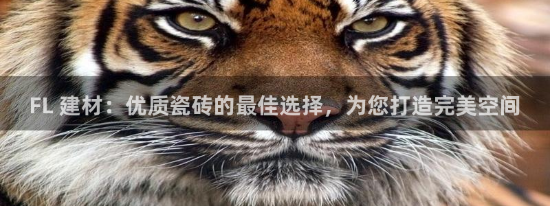 杏鑫平台号7O777