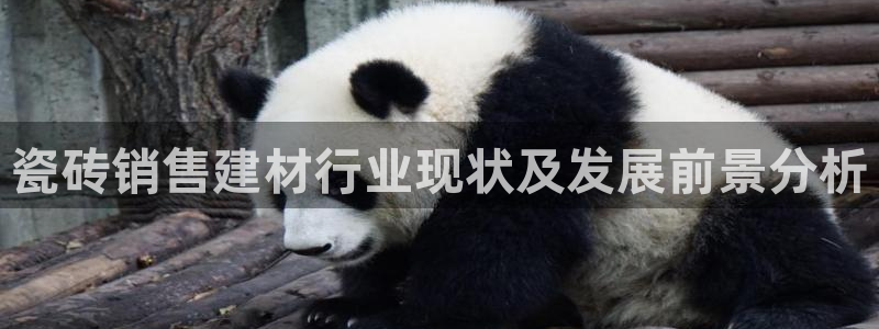 杏鑫官网注册账号是什么