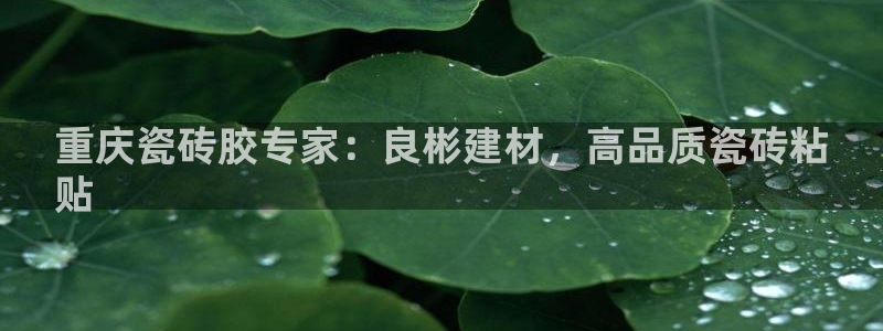 杏鑫平台下载安装