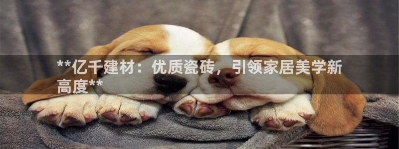 杏鑫平台是黑平台吗是真的吗