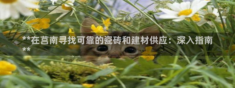 杏鑫平台代理
