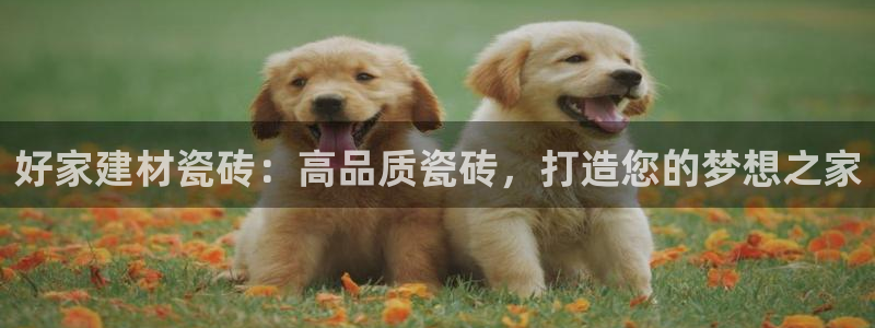 杏鑫平台列7O777