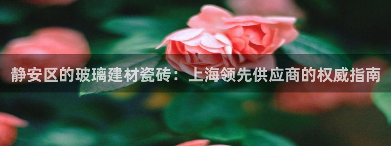 杏鑫平台招商怎么样可靠吗