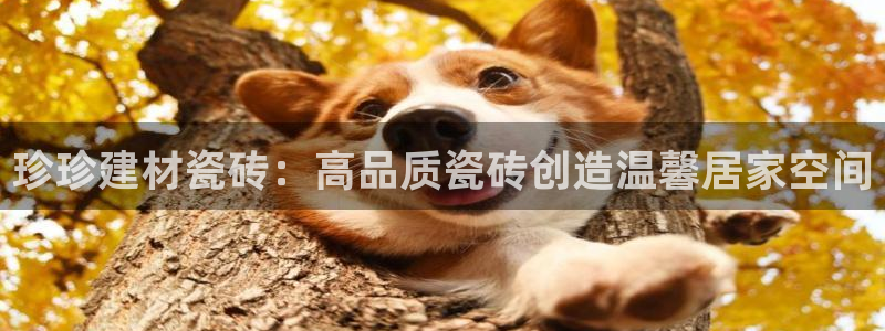 杏鑫注册平台官方网站下载
