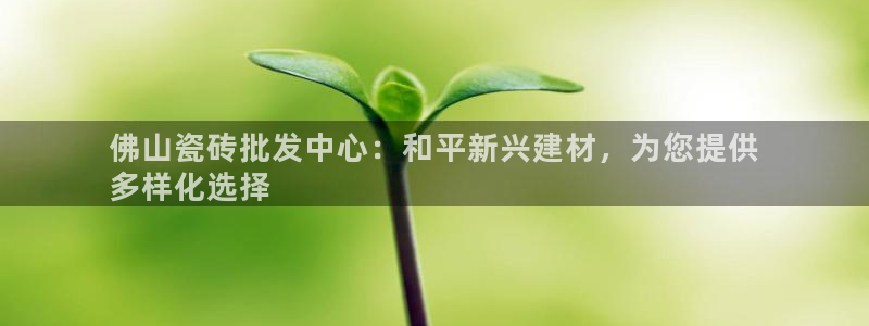 杏鑫平台下载安装