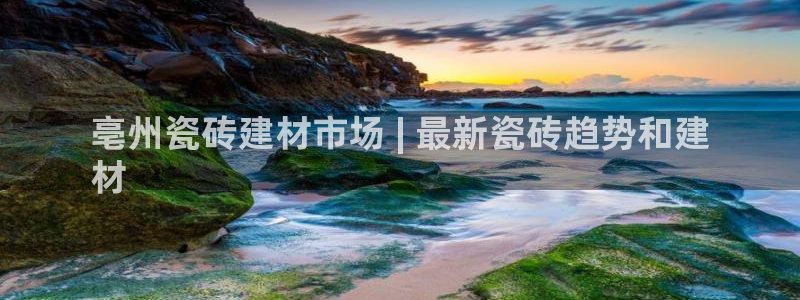 杏鑫平台代理注册多少钱啊