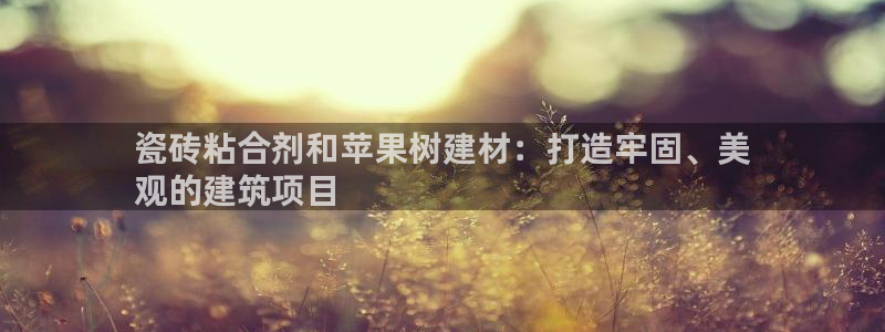 杏鑫官网注册账号是什么意思