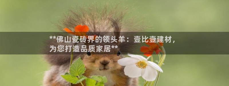 杏鑫平台代理怎么样