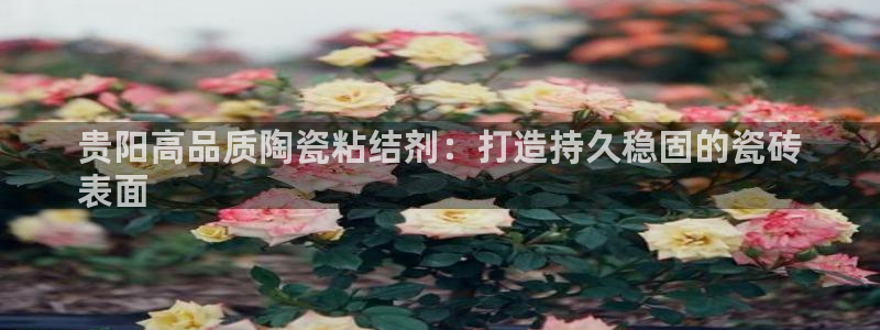 杏鑫注册登录平台