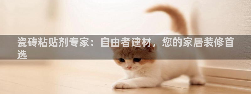 杏鑫平台怎么样知乎