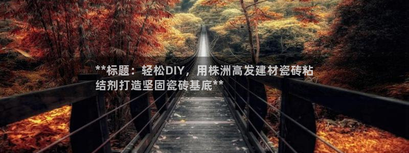 杏鑫平台代理注册流程图