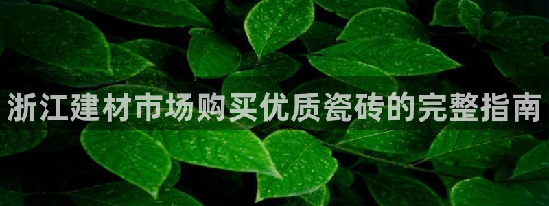 杏鑫注册地址