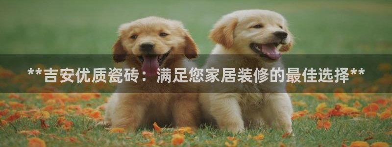 杏鑫平台提供