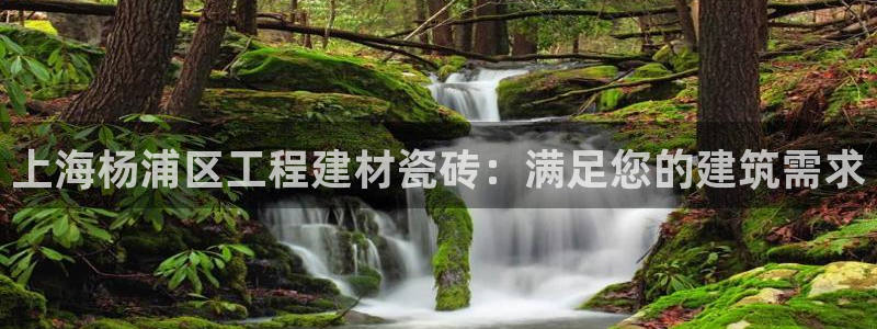 杏鑫官网注册账号密码