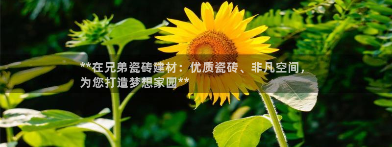 杏鑫官网注册账号