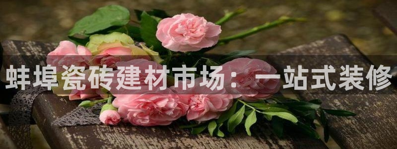 杏鑫官网最新信息新闻