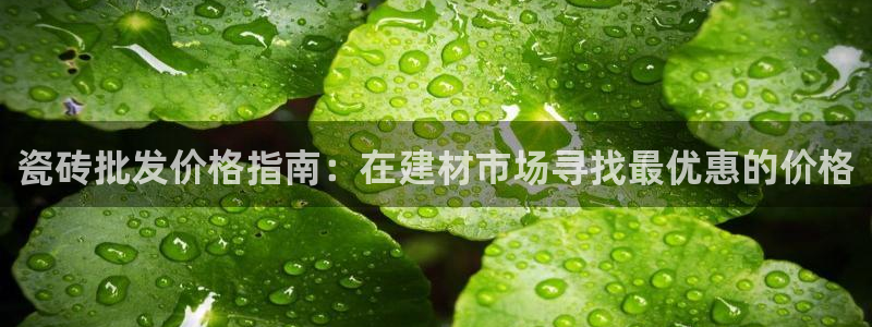 杏鑫平台注册登录