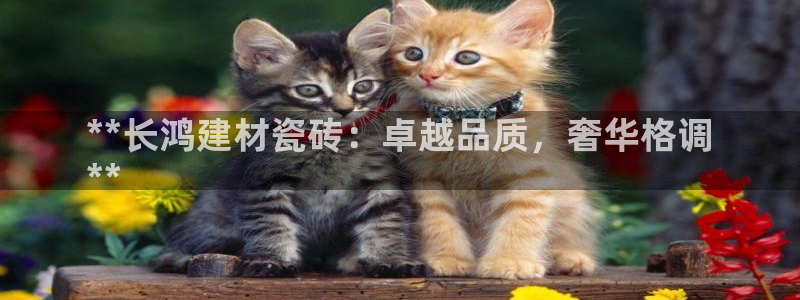 杏鑫平台提供