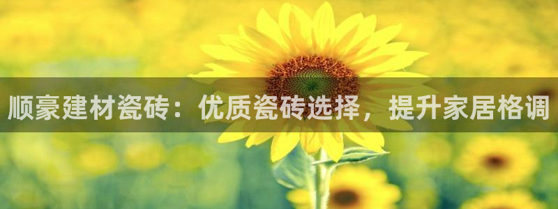 杏鑫平台代理注册流程