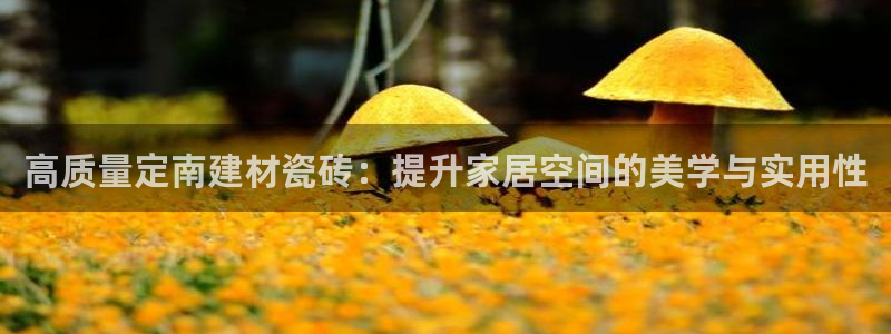 杏鑫平台登录注册