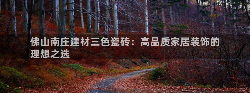 杏鑫娱乐开发团队