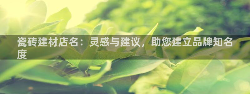 杏鑫平台招商电话