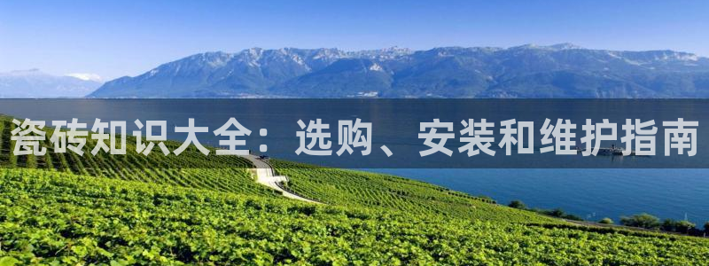 杏鑫官方平台怎么样可靠吗