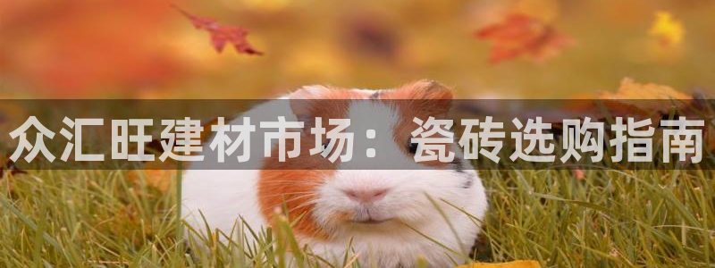 杏鑫平台是黑平台吗