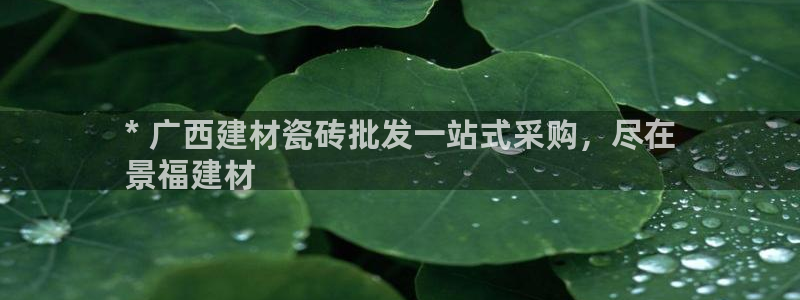 杏鑫平台正规吗