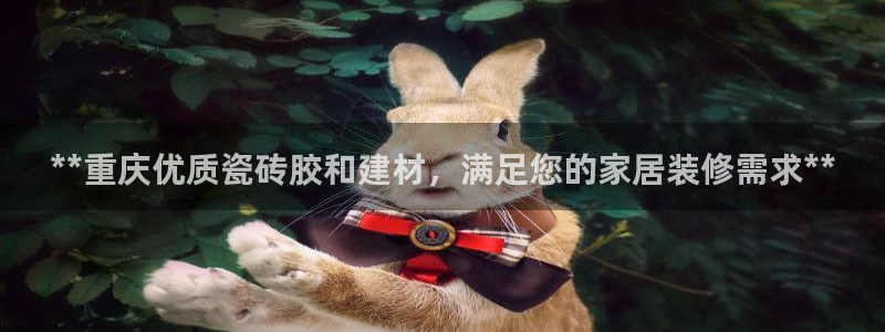 杏鑫手机客户端