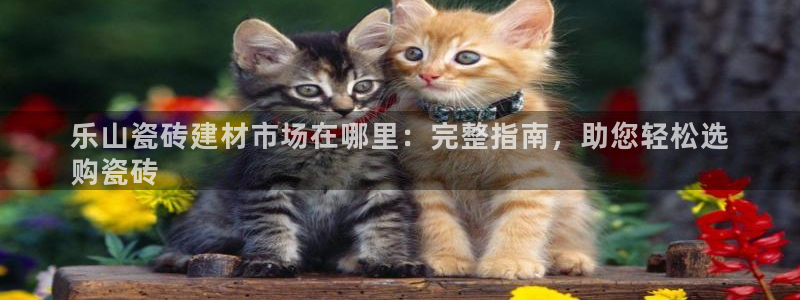 杏鑫平台官方网站