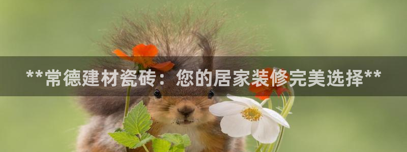 杏鑫平台怎么样黑钱吗安全吗是真的吗