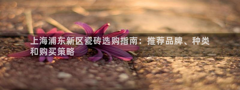 杏鑫官网最新信息新闻报道
