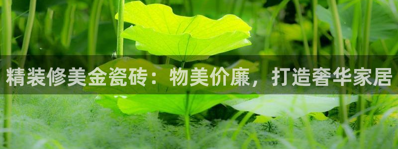 杏鑫官网注册账号