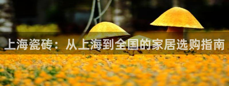 杏鑫平台怎么样黑钱吗安全吗是真的吗