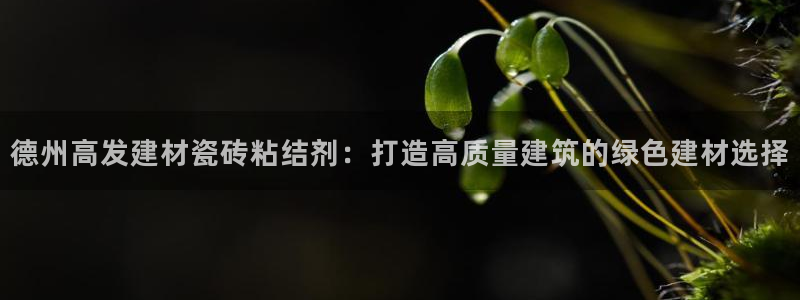 杏鑫娱乐是真的吗还是假的