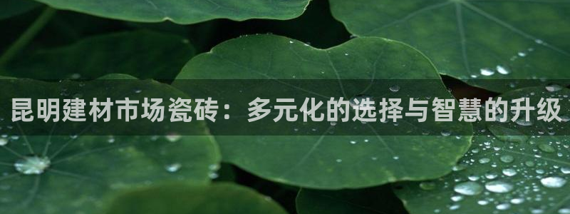 杏鑫娱乐怎么样