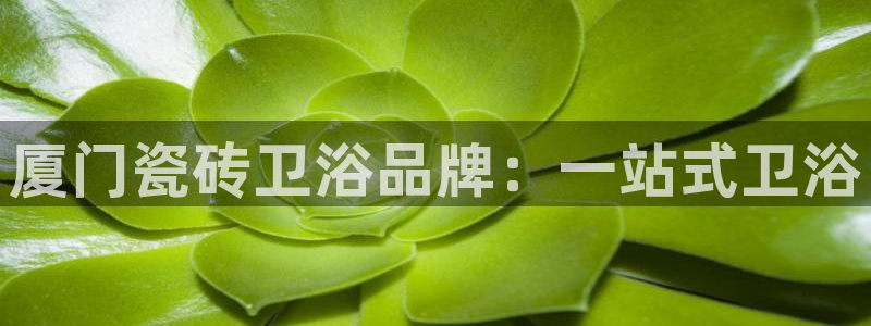 杏鑫平台招商电话号码是多少