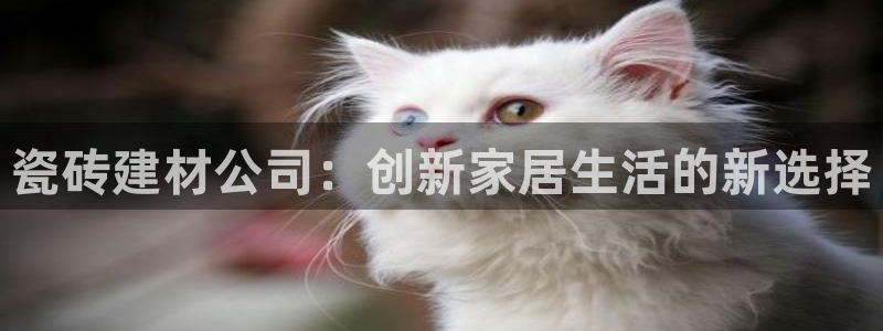 杏鑫平台注册网址