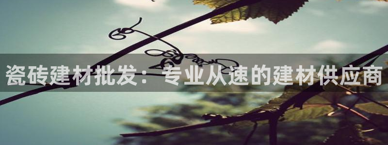 杏鑫平台平台