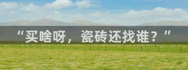 杏鑫代理注册资金多少