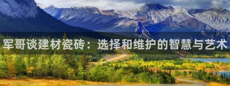 杏鑫官网注册账号是什么样的