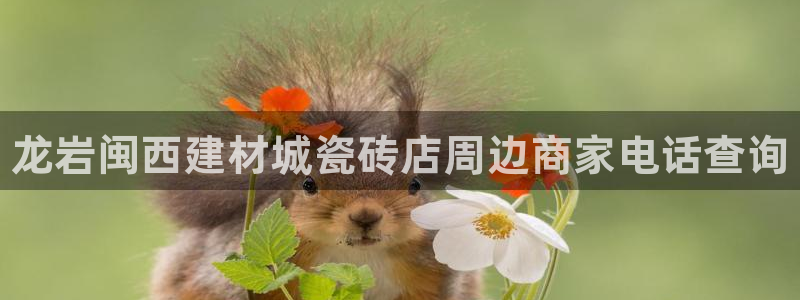 杏鑫娱乐怎么样