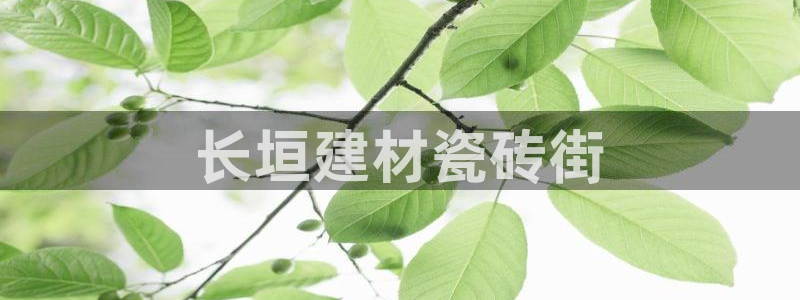 杏鑫平台野马联盟怎么样